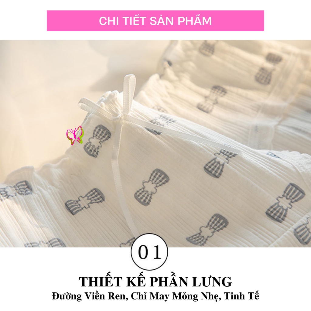 Quần lót cotton ren dành cho nữ có size XL, trẻ trung, thoải mái, thoát mát (MS 03114) Anna Shop