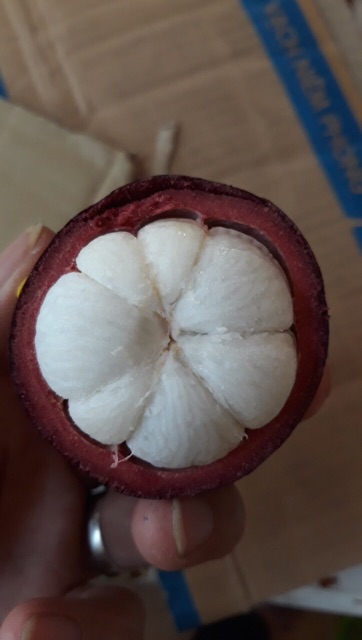 Sỉ 5kg Măng Cụt Long Khánh Đồng Nai