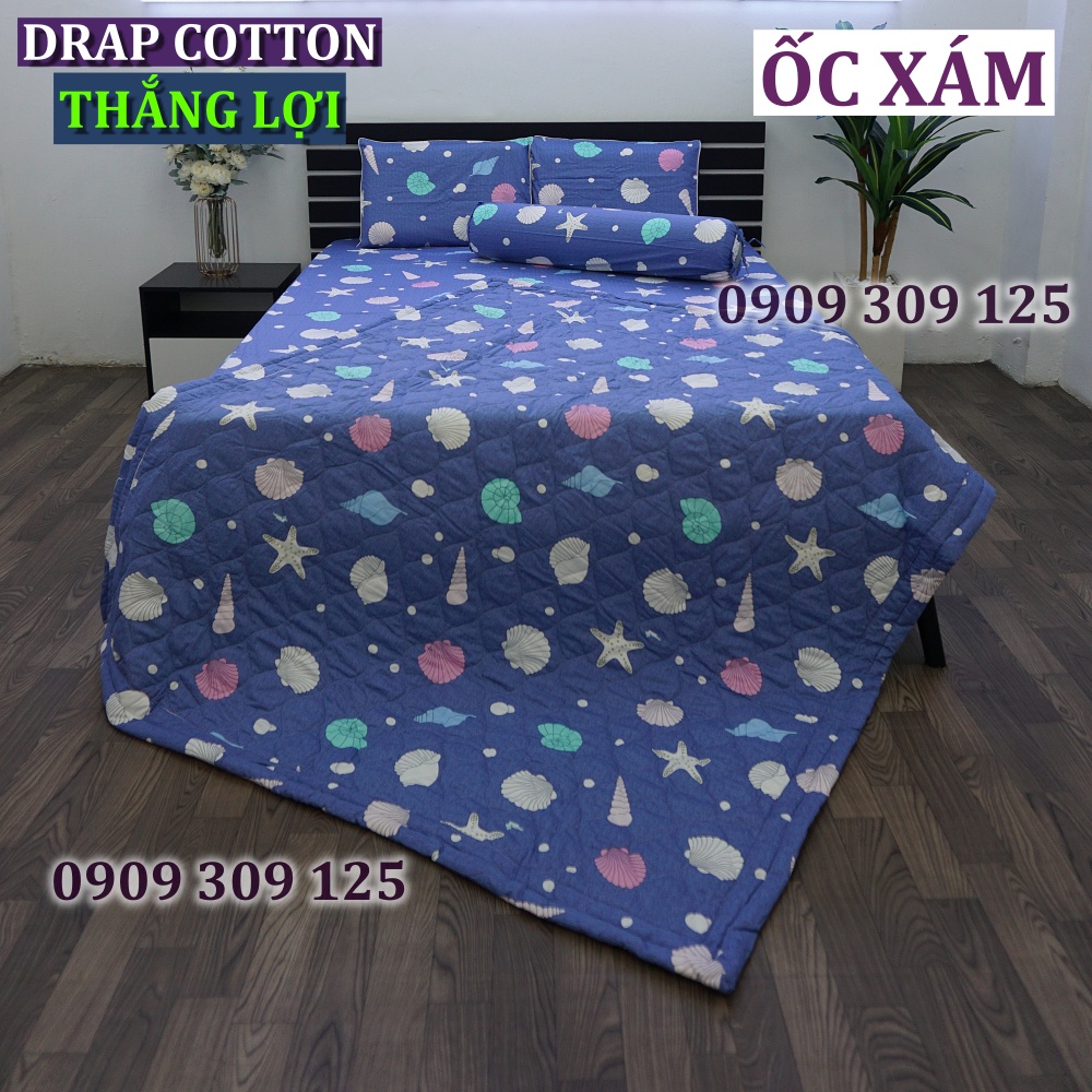 Bộ Drap 1m8 + CHĂN MỀN Thắng Lợi cao cấp chuẩn logo thoáng mát cotton (ga giường 5 món)