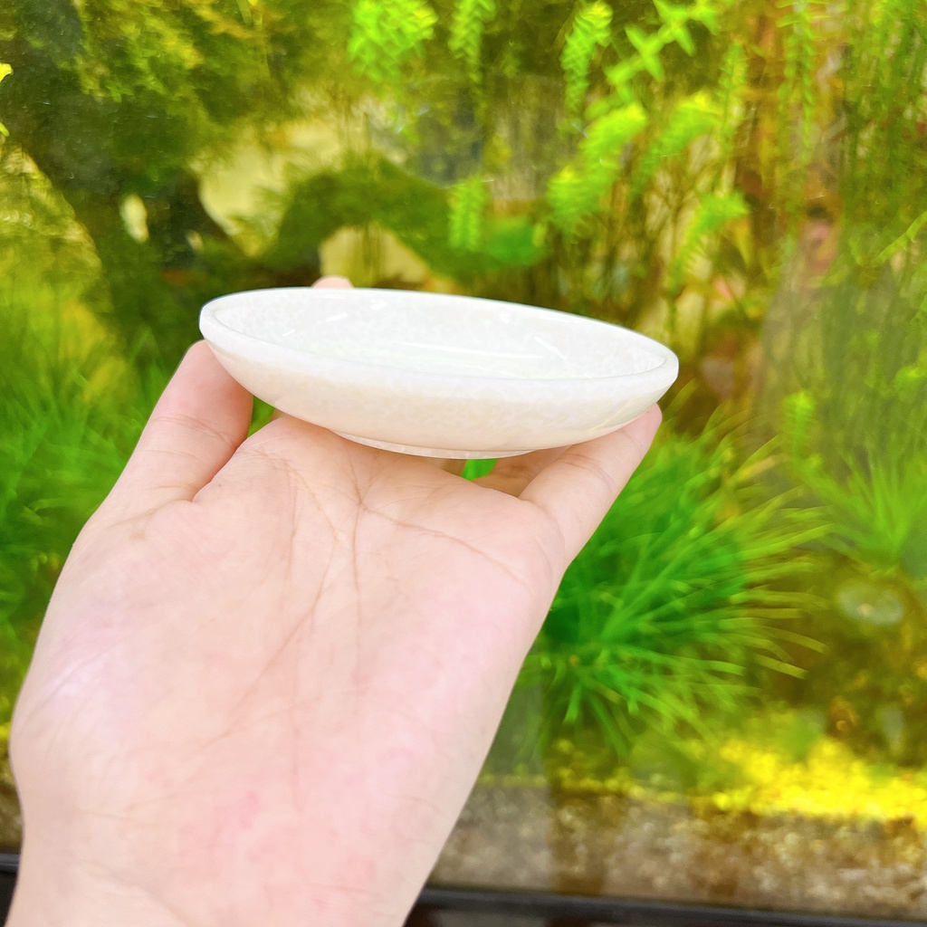 Chén Tương 26 Vân Đá Trắng Nhựa Melamine Cao Cấp Fataco Việt Nam - Chính Hãng