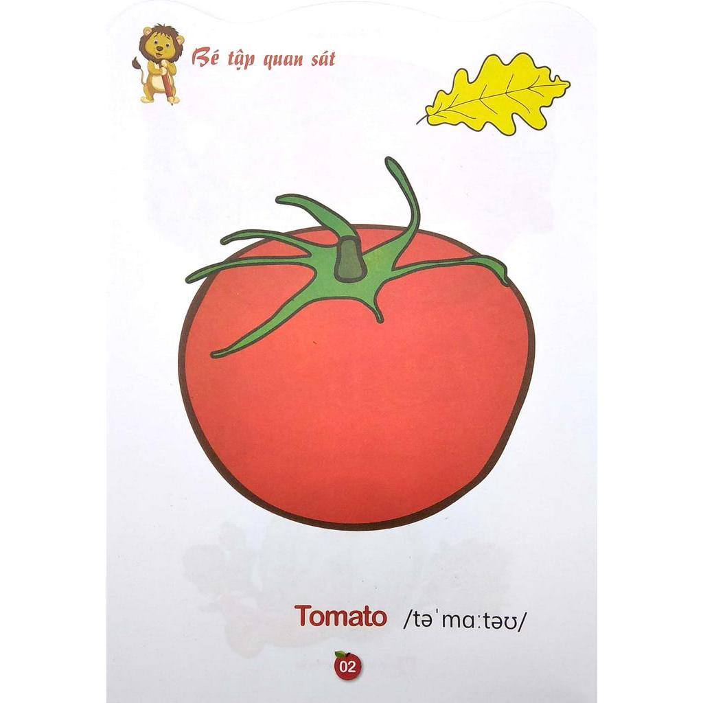 Sách - Tô Màu Rau - Củ - Quả Song Ngữ Anh - Việt - Tập 4