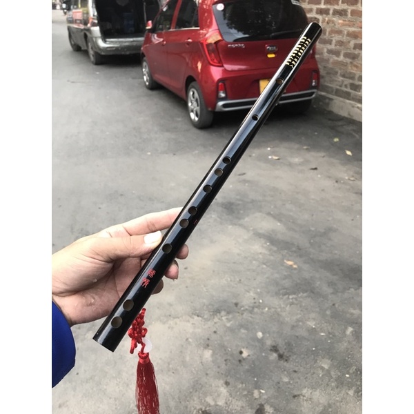 Sáo dizi trần tình