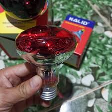 Bóng Úm Gà Sưởi Ấm Gia Súc Gia Cầm 45W, 75W