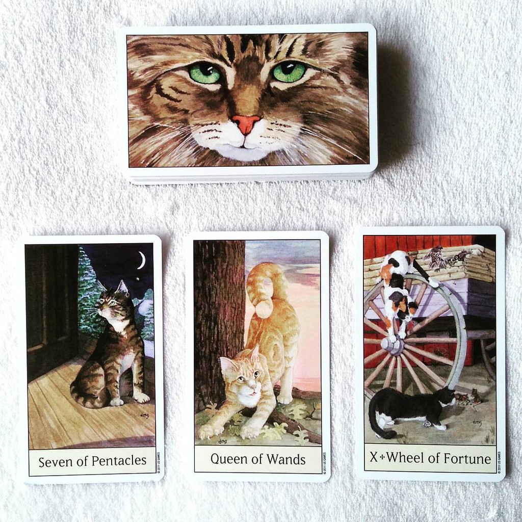 Bài Cat’s Eye Tarot