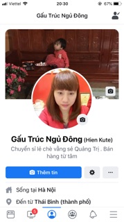 Chè vằng sẻ sao vàng hạ thổ