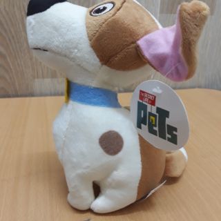 Chú chó Max