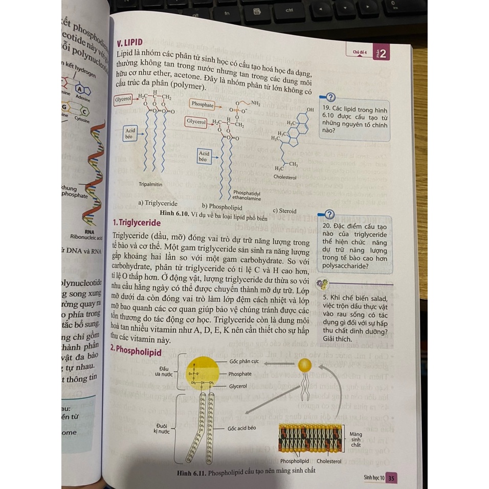 Sách - Sinh học 10 ( Cánh diều ) + bán kèm 1 cuốn tô màu 15k