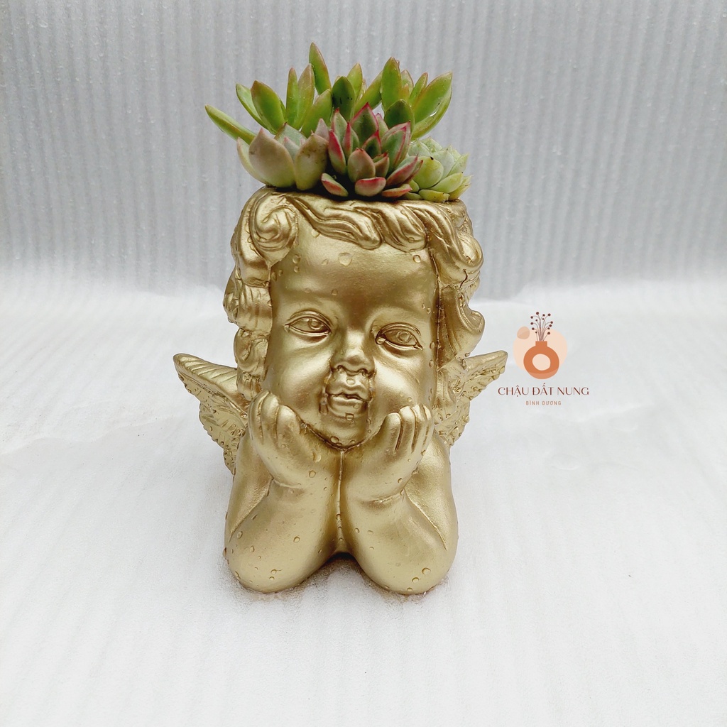 Chậu đất nung, Chậu sen đá - Thiên Thần 817, đường kính miệng 8cm, chiều cao 17cm