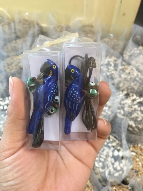 Còi huấn luyện vẹt