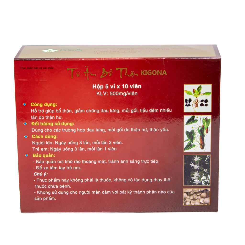 Bổ thận âm, giảm đau lưng mỏi gối, tiểu đêm nhiều lần Tư Âm Bổ Thận Kigona Hộp 50 viên