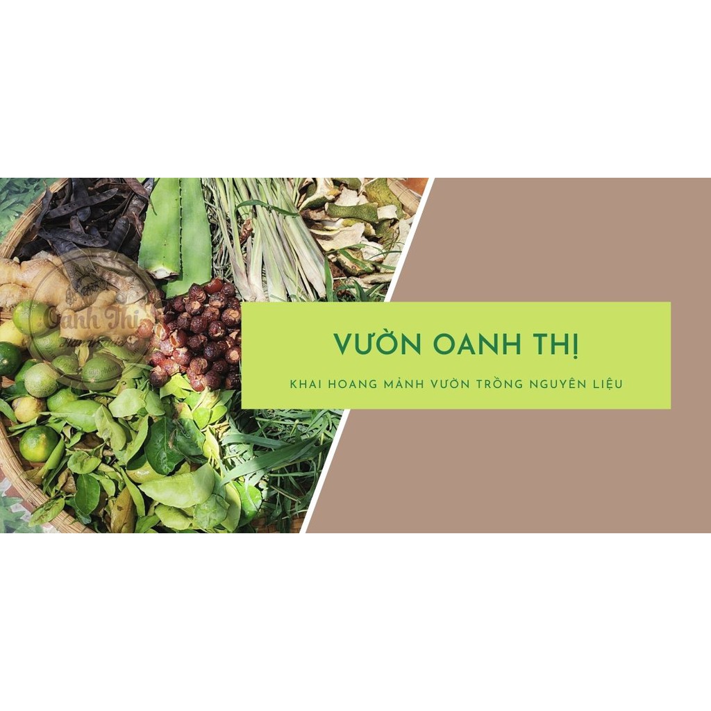 Dầu gội bồ kết thảo dược Vườn Oanh Thị, khép kín từ nguyên liệu đến tự nấu tại vườn,kích thích mọc tóc, phục hồi tóc