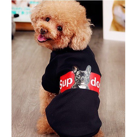 Áo hoạt hình thời trang cho thú cưng chó mèo