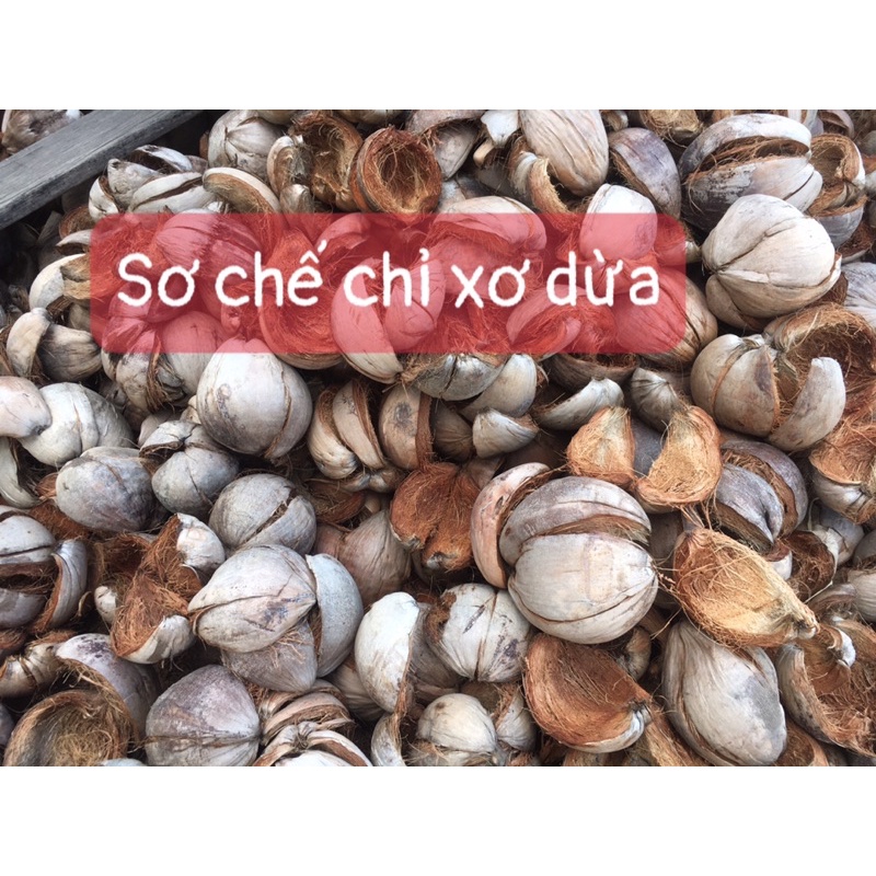 Vỏ dừa khô tách gáo