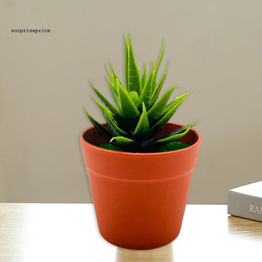 Chậu Cây Bonsai Giả Mini Bằng Nhựa Dùng Trang Trí Nhà Cửa/Văn Phòng