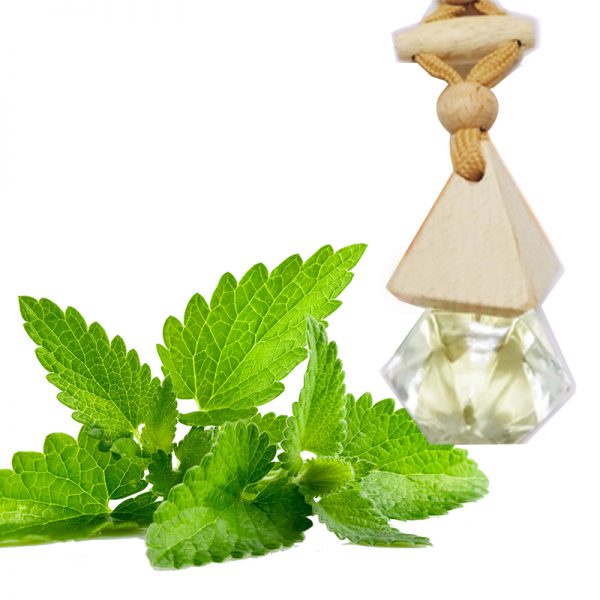 Tinh dầu treo xe nguyên chất 100% - đủ mùi hương tùy chọn | BigBuy360 - bigbuy360.vn