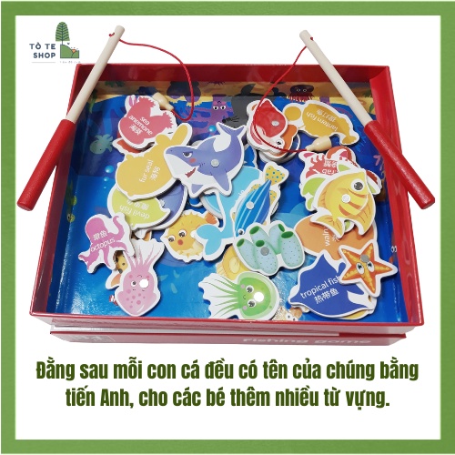 Bộ câu cá nam châm 32 con bằng gỗ, vừa chơi vừa học từ vựng tiếng Anh thông qua tên các loài cá.