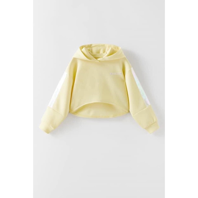 Áo hoodie croptop BG dư xịn