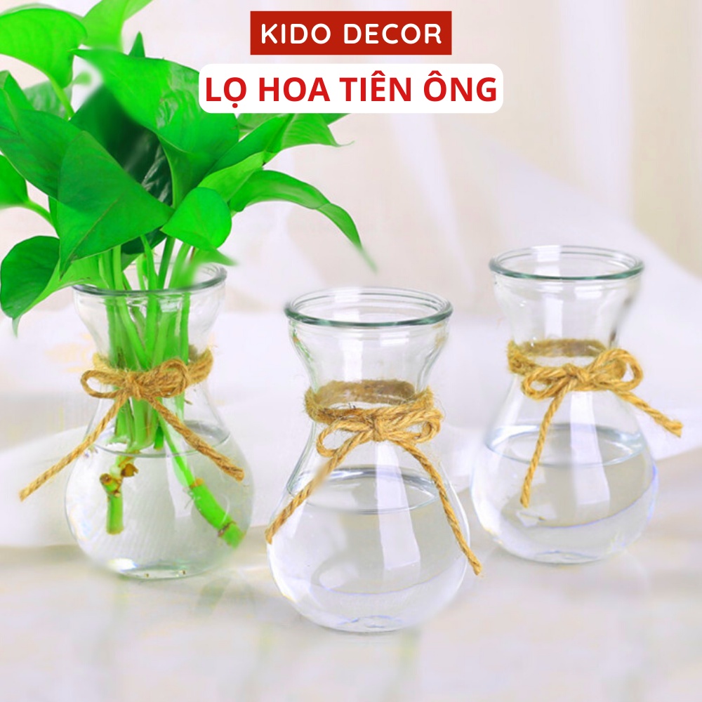 Lọ Hoa Decor Thủy Tinh Cắm Cây Thủy Sinh, Hoa Giả, Hoa Khô Trang Trí Phòng KIDO