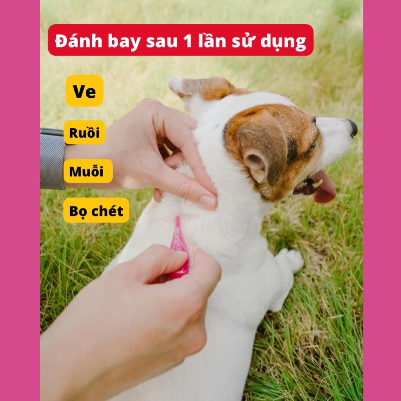 Frontline Tri-act nhỏ gáy cho chó bảo vệ cún cưng khỏi ve rận, bọ chét , ruồi muỗi