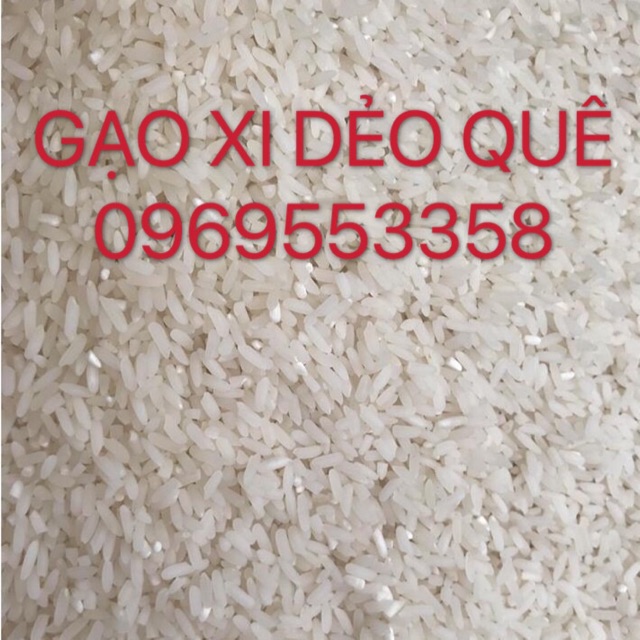 5 KG GẠO XI DẺO QUÊ - VỤ MỚI [FREESHIP GIÁ SỈ]
