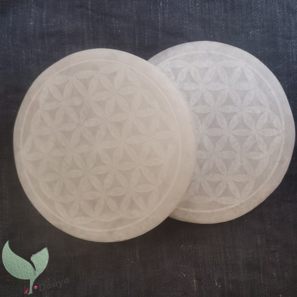 Đĩa Sạc In Hình Hoa Màu Trắng 10Cm