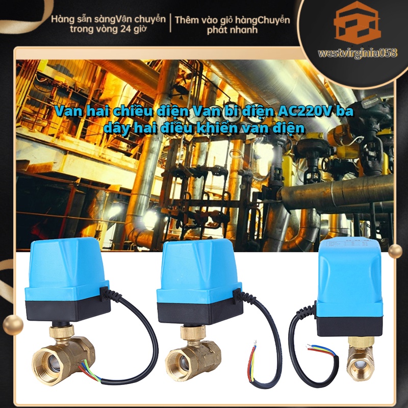 Có thể bán buôn Van bi điện 2 chiều 3 dây điều khiển Bảo vệ IP54 Động cơ đồng bộ Blue AC220V Hàng giao ngay Westvirginia058