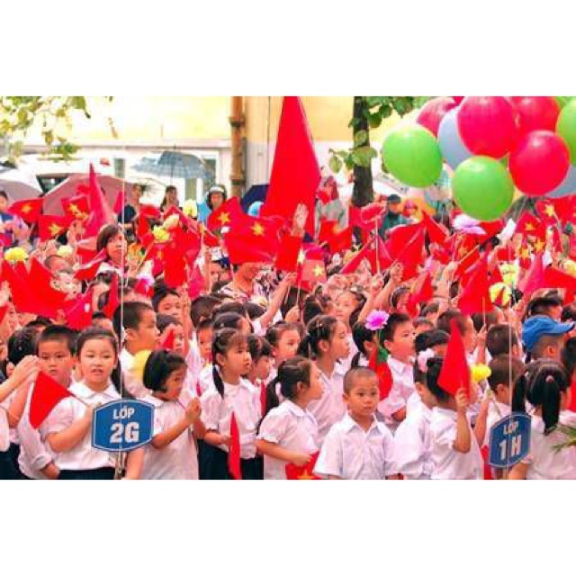 Cờ tổ quốc cầm tay