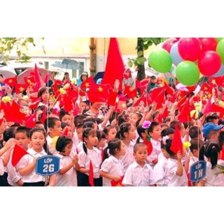 Cờ tổ quốc cầm tay