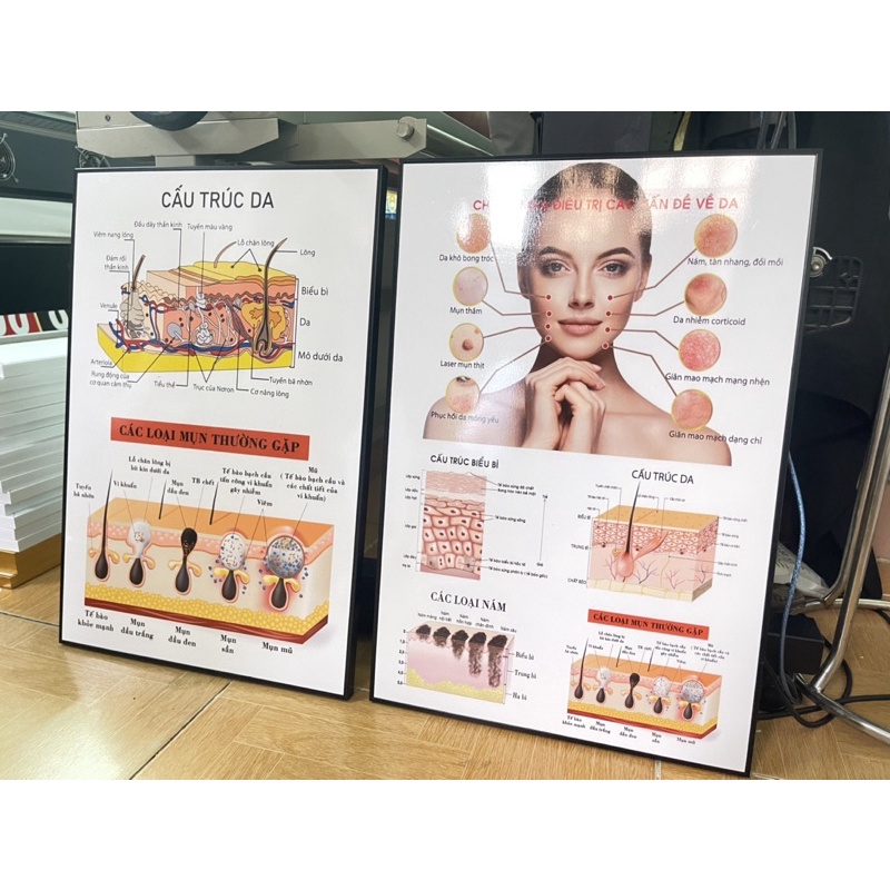 KHUNG TRANH SPA TRÁNG GƯƠNG TREO TƯỜNG VỀ CHĂM SÓC DA