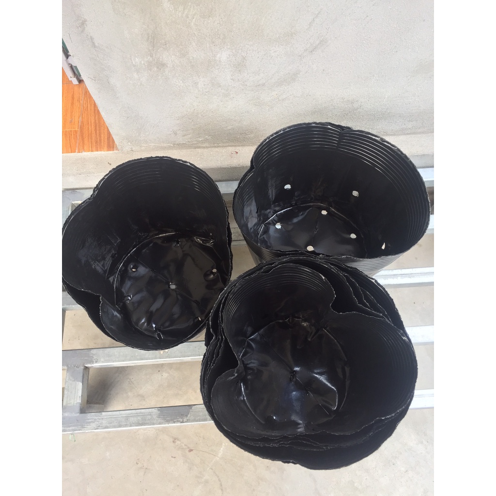 BẦU ƯƠM CÂY 45*35 ( DỊCH TRUYỀN CHO CÂY, KÍCH RỄ , MẦM CÂY XANH LÁ, LƯỚI CHE NẮNG...)