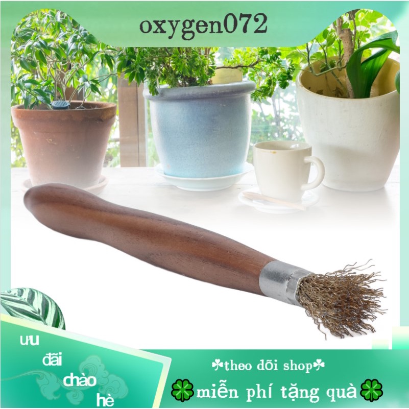 Oxygen072 Steel Wire Brush Wearable Rust Proof Wood Handle Professional Bonsai Cleaning Tool for Potted Plants Bàn Chải Cọ Rửa Cây Cảnh