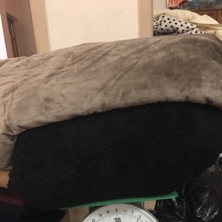 Vải lông cừu đen và be sữa