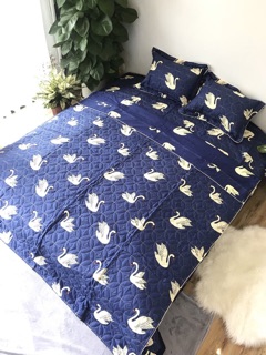Bộ chăn ga gối poly chần bông