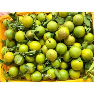 Cam xoàn tươi combo 5kg