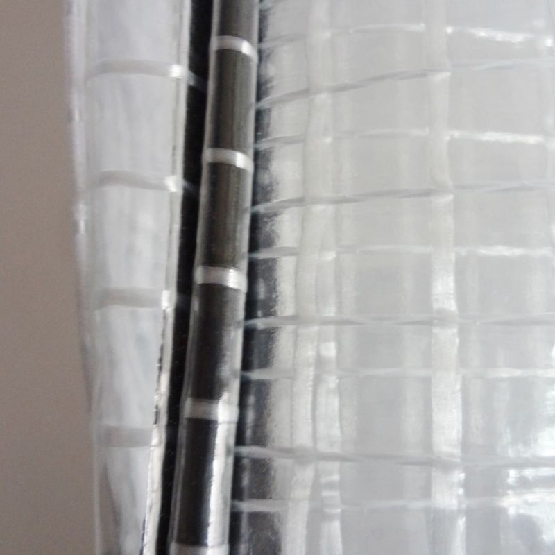 Túi Đeo Chéo Trong Suốt Chống Tĩnh Điện Thời Trang Đi Biển Mùa Hè