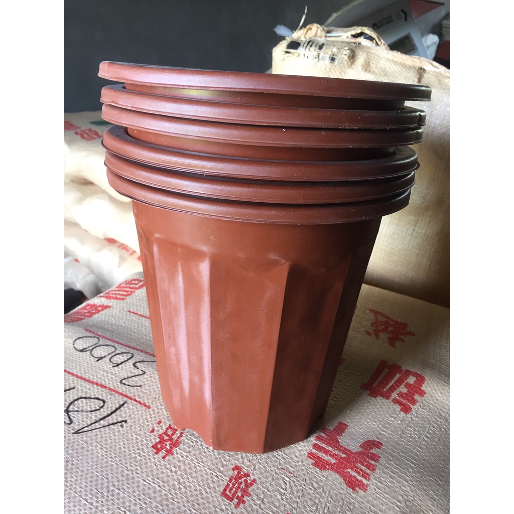 5 CHẬU NHỰA TRỒNG CÂY MÃ #E300 (BẠT PHỦ ĐẤT CHỐNG CỎ MỌC, BẦU KHAY TÚI ƯƠM...)