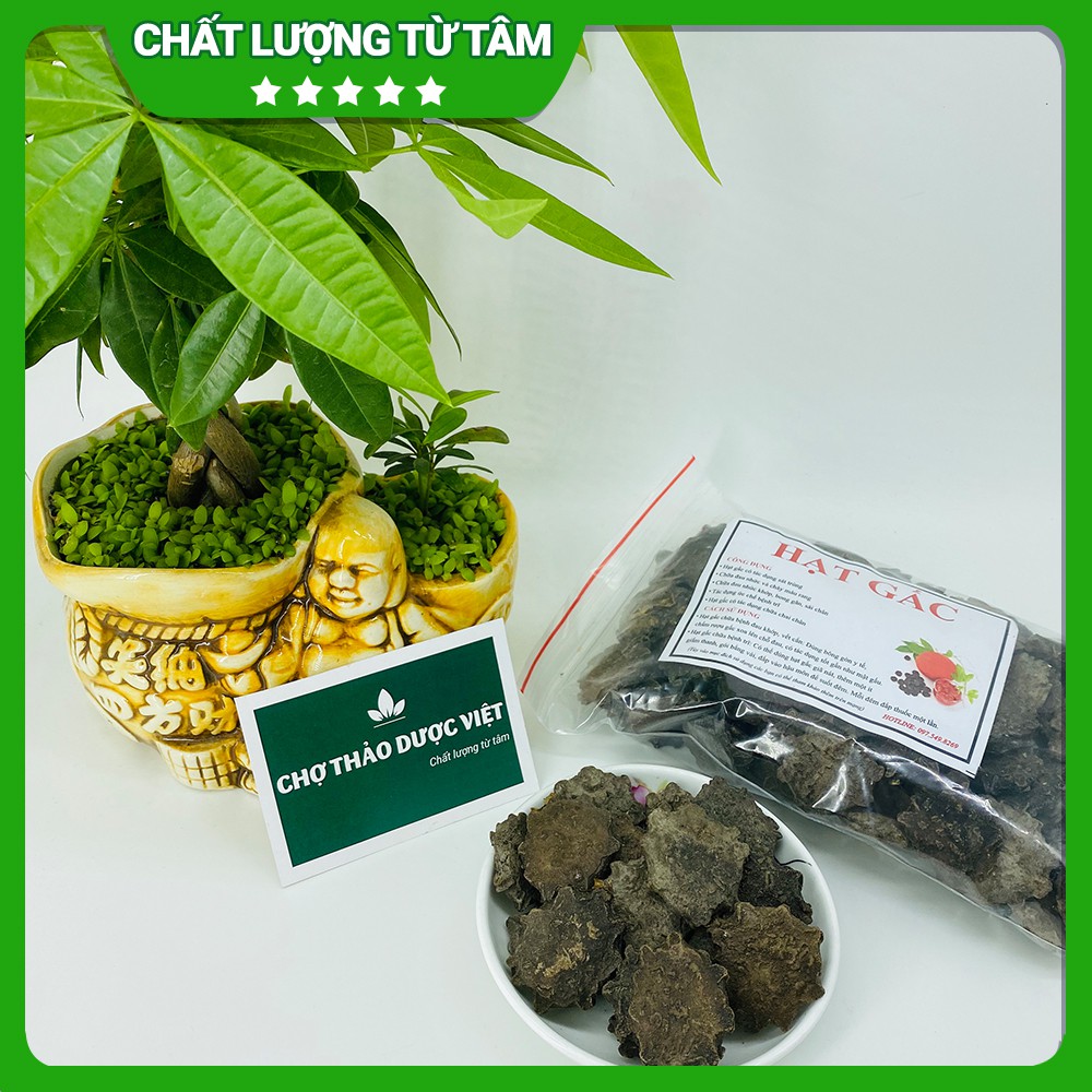 Hạt gấc khô 100g ( Hạt gấc ngâm xoa bóp hỗ trợ giảm đau nhức) - Chợ Thảo Dược Việt
