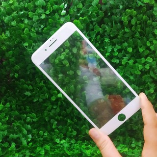 [Quà Tặng] Kính Cường Lực Điện Thoại (Ngẫu Nhiên)