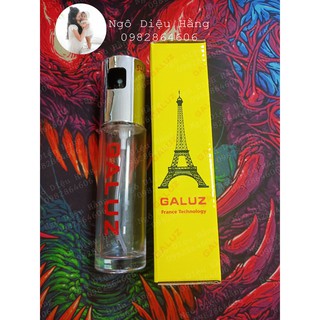 Chai xịt dầu ăn Galuz Pháp / 304 Spray Bottle