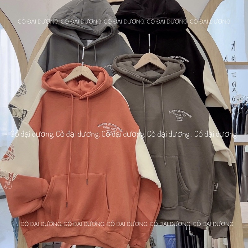 Áo nỉ hoodie goldbaren
