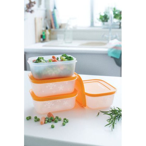 Hộp Trữ Đông Freezermate Gen II 450ml Tupperware, Hộp Trữ Đông Nhựa Dẻo Không Bể Vỡ