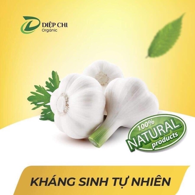 Dầu Tỏi Diệp Chi - Ngăn Ngừa Ho Sổ Mũi Cảm Cúm - Nguồn Kháng Sinh Tự Nhiên