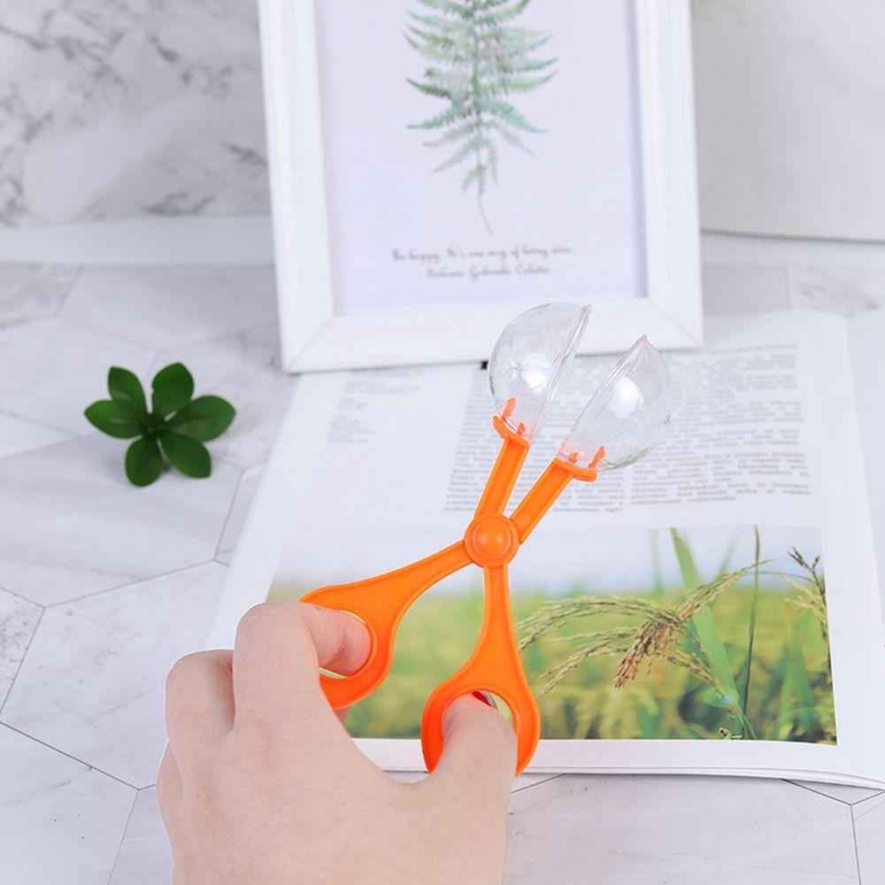 ELEGANT 1 Đồ Chơi Bẫy Côn Trùng Bằng Nhựa Cho Bé