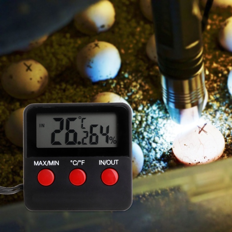 Nhiệt Kế Kỹ Thuật Số Đo Độ Ẩm Cho Bò Sát