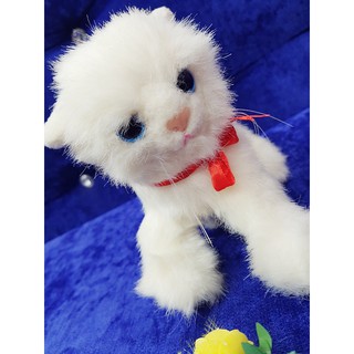 Gấu bông mèo trắng giống thật