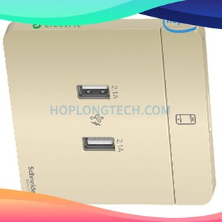 Bộ ổ sạc USB đôi Schneider AvatarON E8332USB_WG_G19