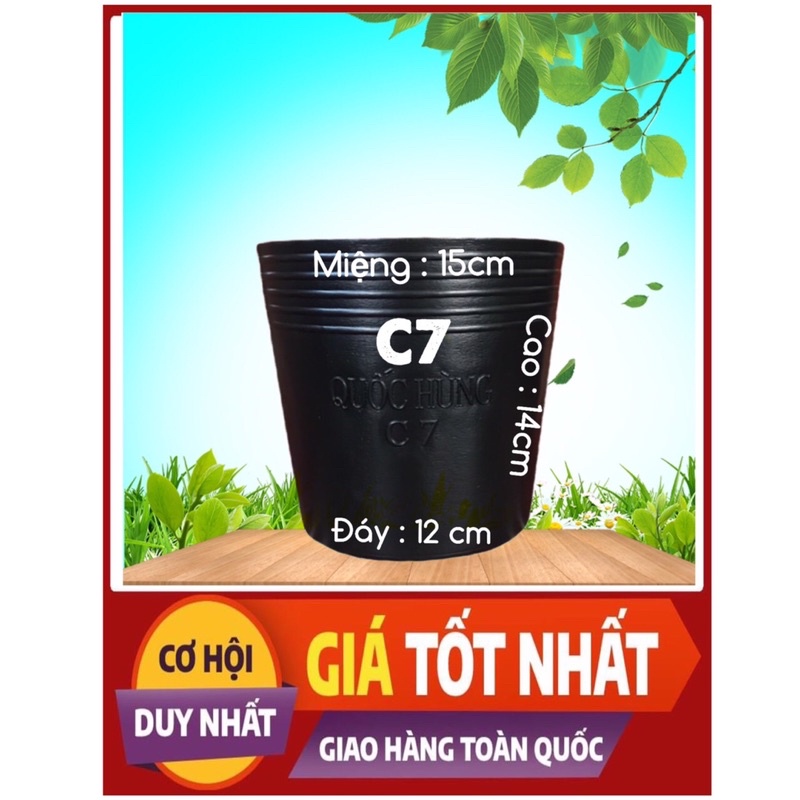 Combo 50 chậu nhựa trồng cây,trồng hoa,trồng rau C7 giá tại xưởng