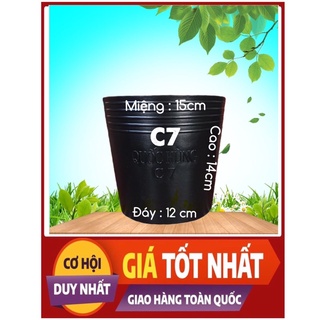 Combo 10 chậu nhựa trồng cây,trồng hoa,trồng rau C7 giá tại xưởng