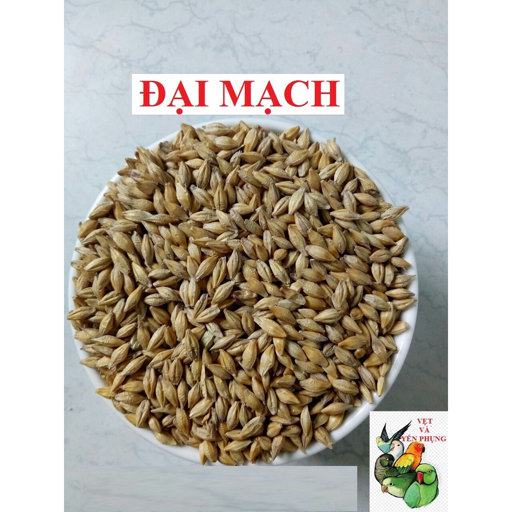 200gram hạt trộn dành cho NGỰC HỒNG - COCKATEIL