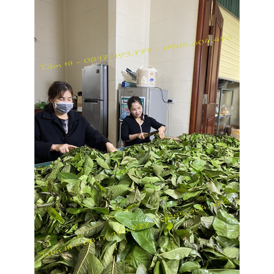 TRÀ ĐỌT ỔI MƯỚP ĐẮNG